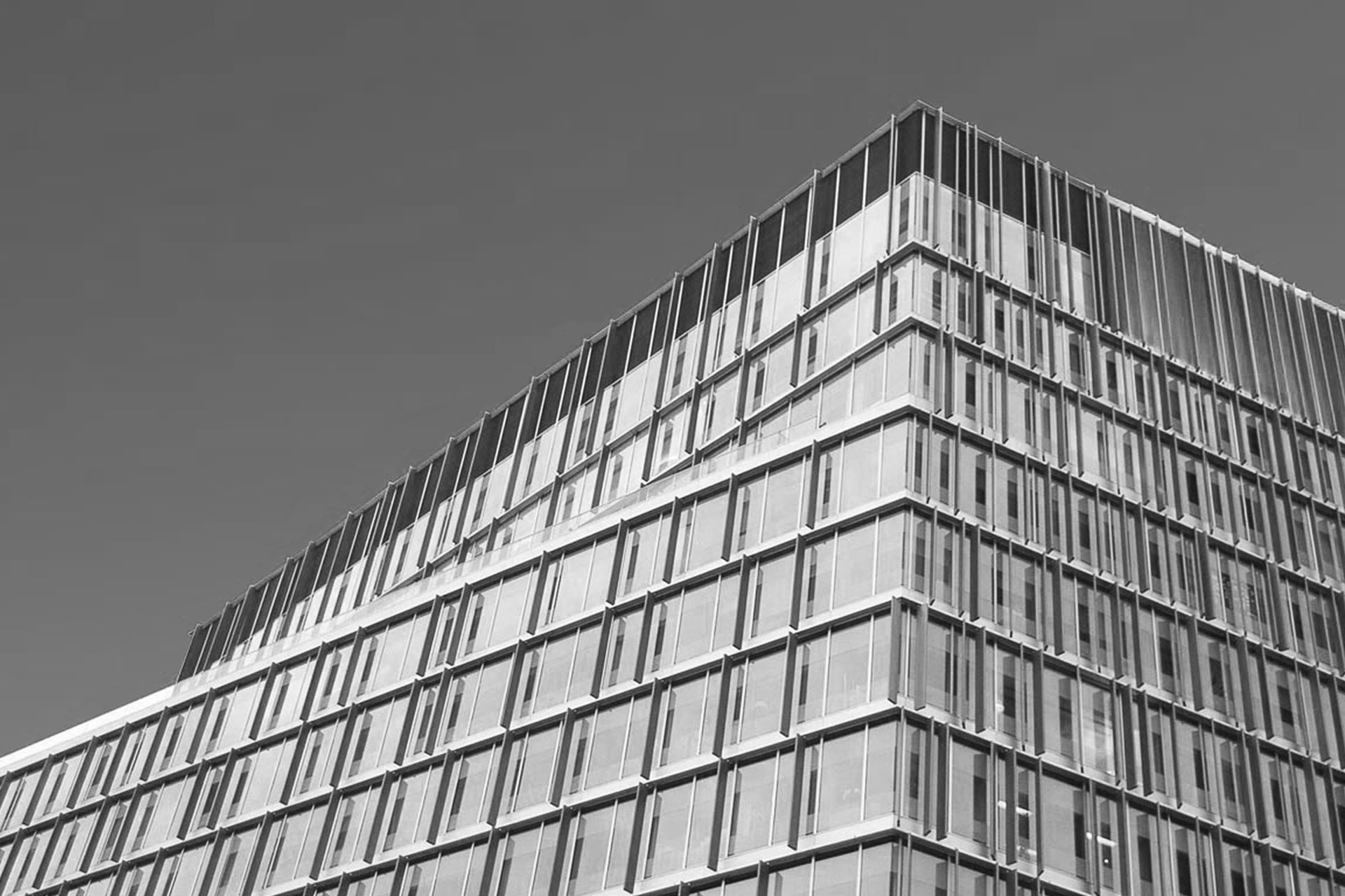 QUISQUE LOREM TORTOR